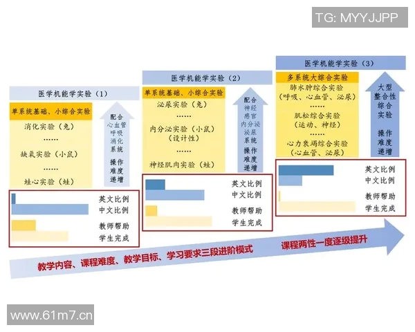 深圳羽毛球队包夹战术的创新与发展探索分析